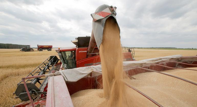 Guterres hails 'critical step forward' on resuming Ukraine grain exports |  Department of Political and Peacebuilding Affairs