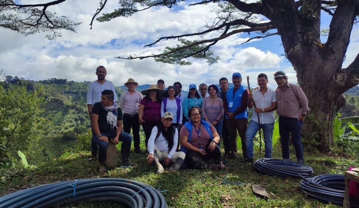 UN and partners review former combatant's projects in the southwest of ...