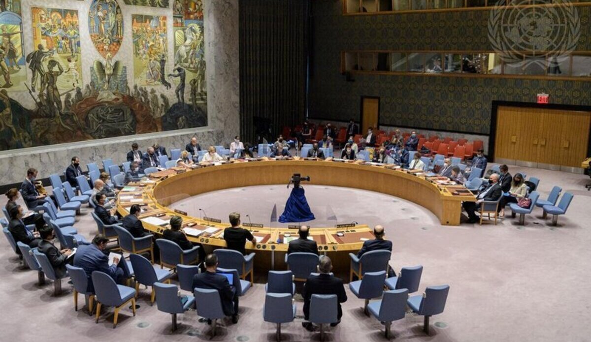 United Nations Security Council